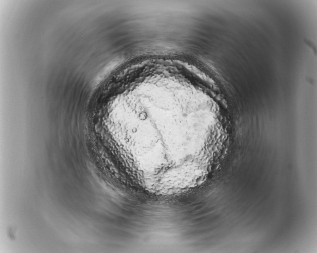 X0000102310679200808152042