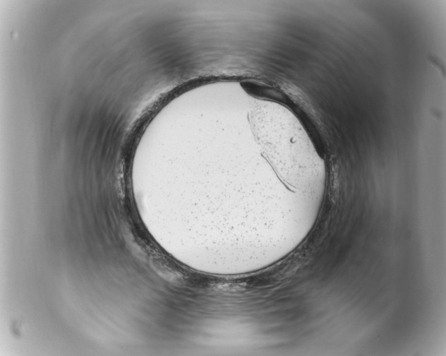 X0000102310680200808152042