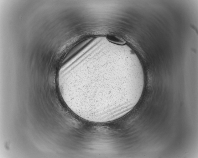 X0000102310681200808152042