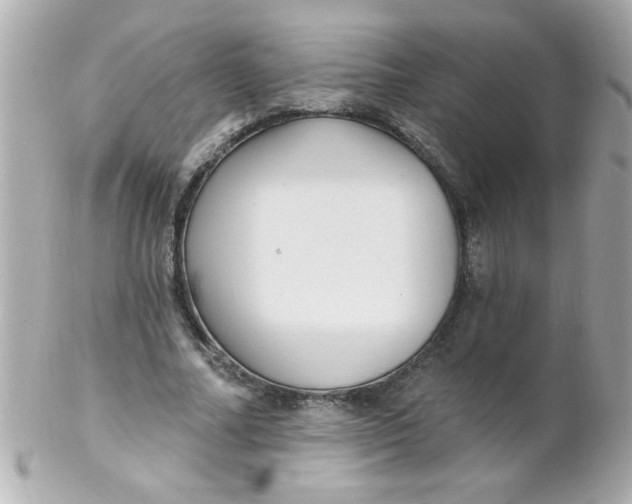 X0000102310682200808152042