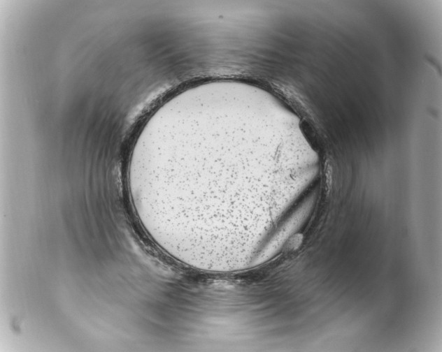 X0000102310684200808152041
