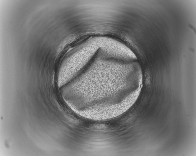 X0000102310685200808152041