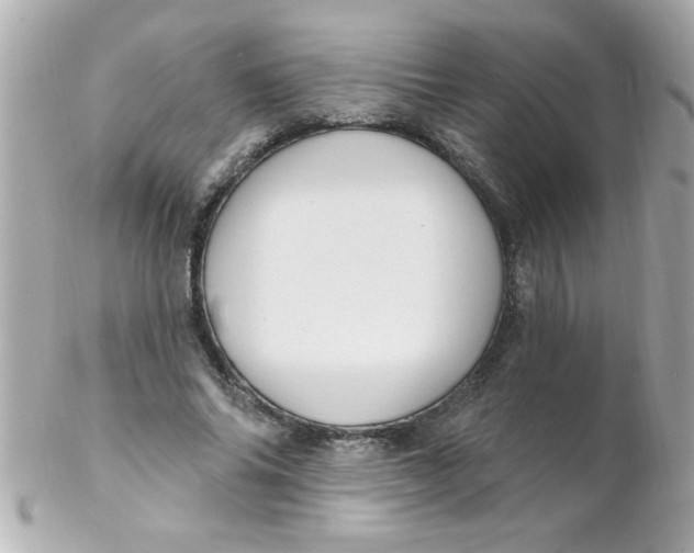 X0000102310686200808152041