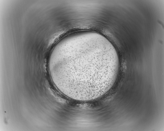 X0000102310688200808152041