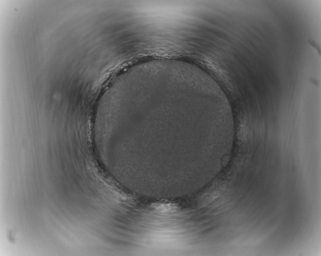 X0000102310689200808152041