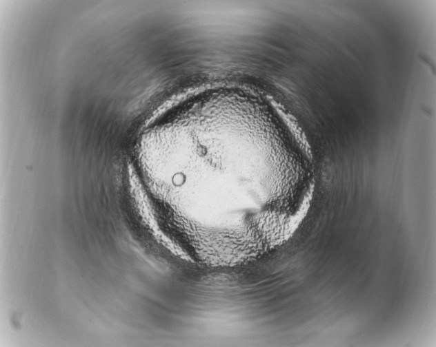 X0000102310691200808152041