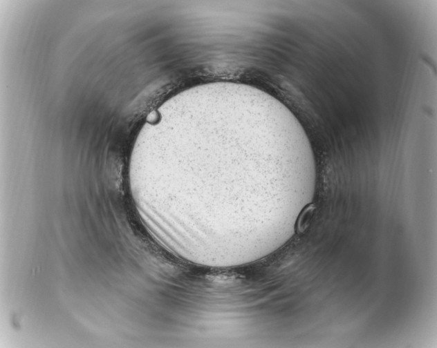 X0000102310693200808152041