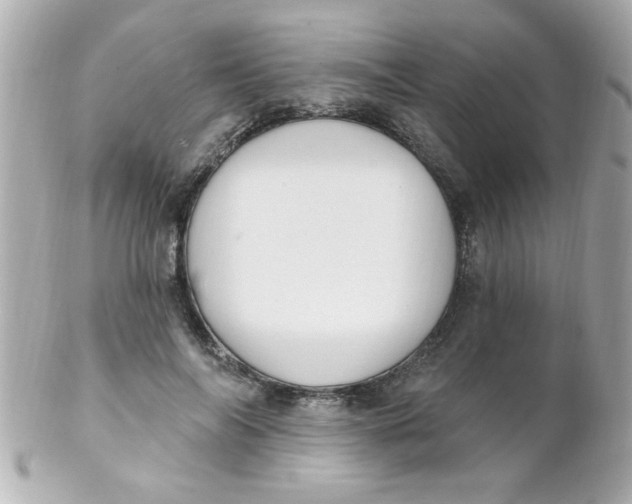 X0000102310694200808152041