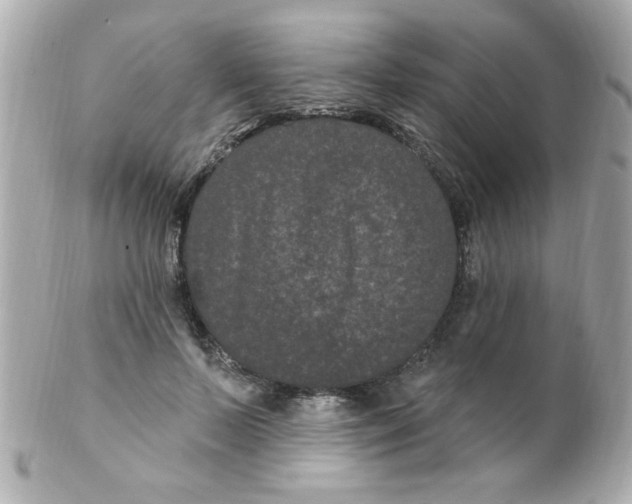 X0000102310695200808152041