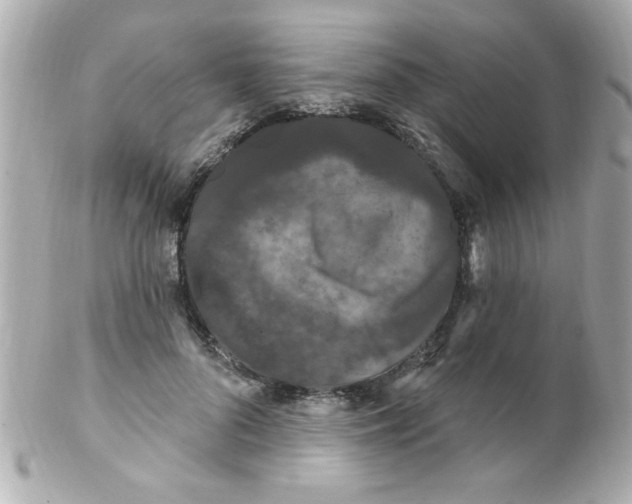X0000102310696200808152041
