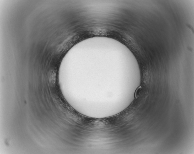 X0000102310697200808152041