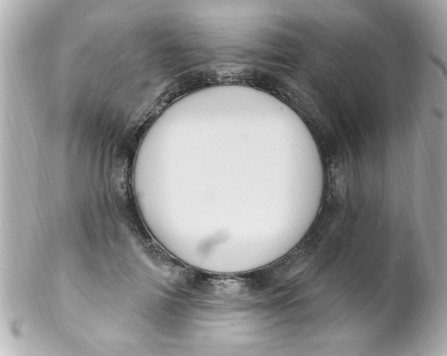 X0000102310698200808152041