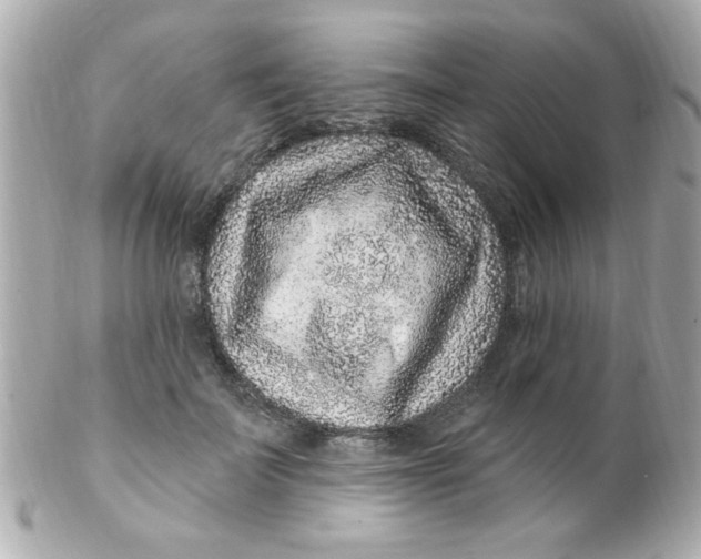 X0000102310699200808152041