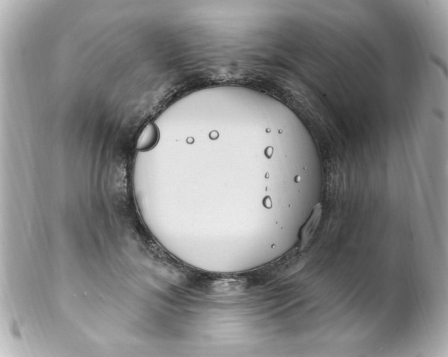 X0000102310700200808152041