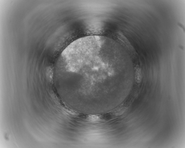 X0000102310701200808152041