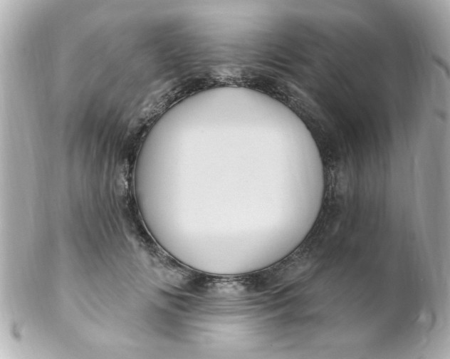X0000102310702200808152041