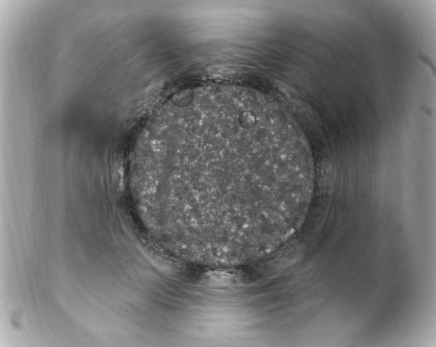 X0000102310703200808152041