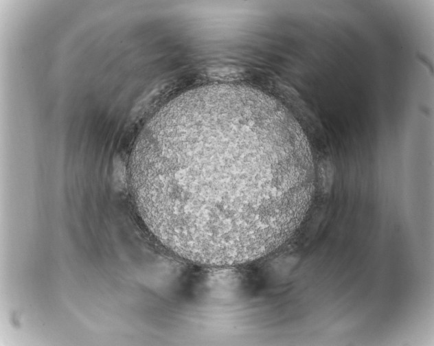 X0000102310705200808152041
