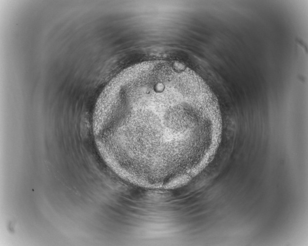 X0000102310707200808152041