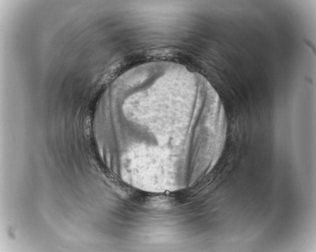 X0000102310708200808152041