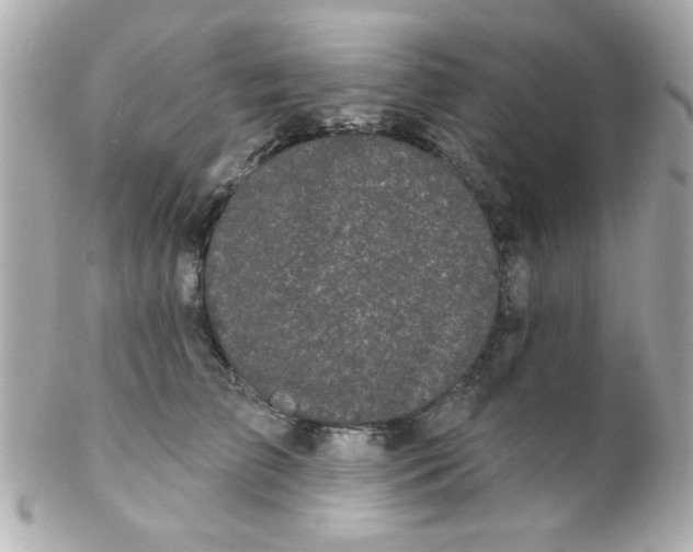 X0000102310709200808152041