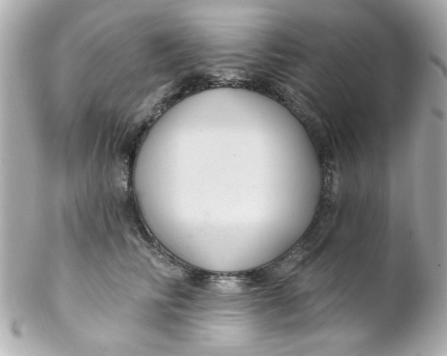 X0000102310710200808152041