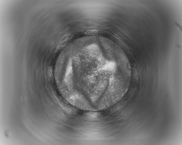 X0000102310711200808152041