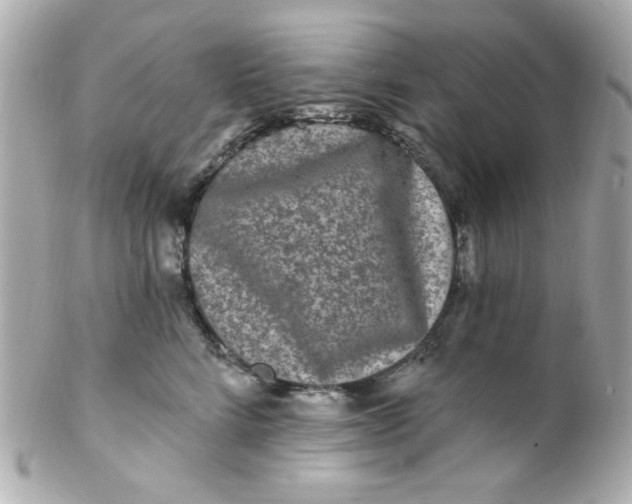 X0000102310712200808152041