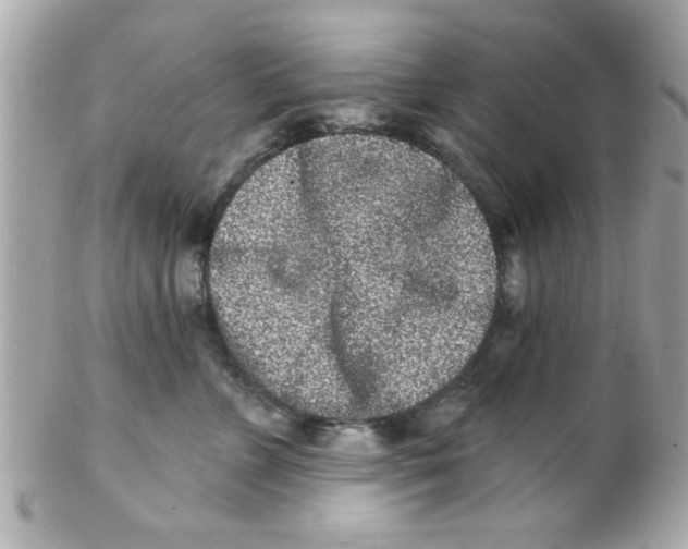 X0000102310715200808152041