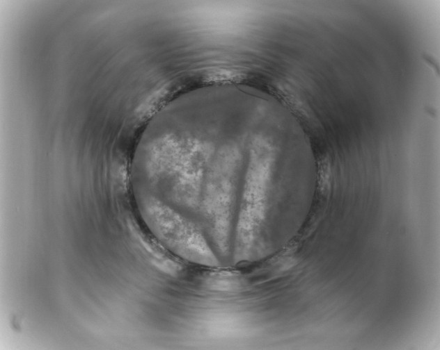 X0000102310716200808152041