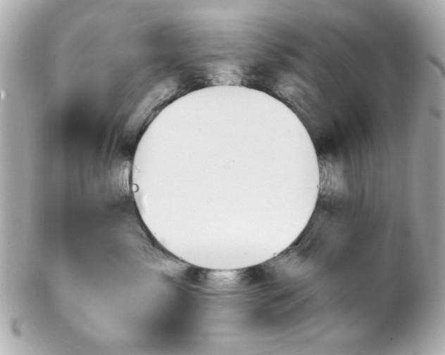 X0000102310717200808152041