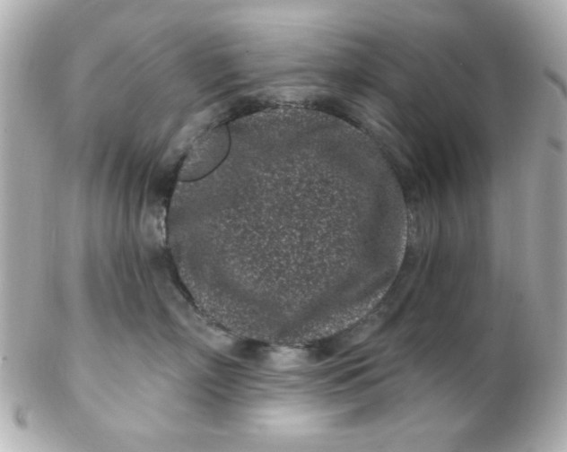 X0000102310718200808152041