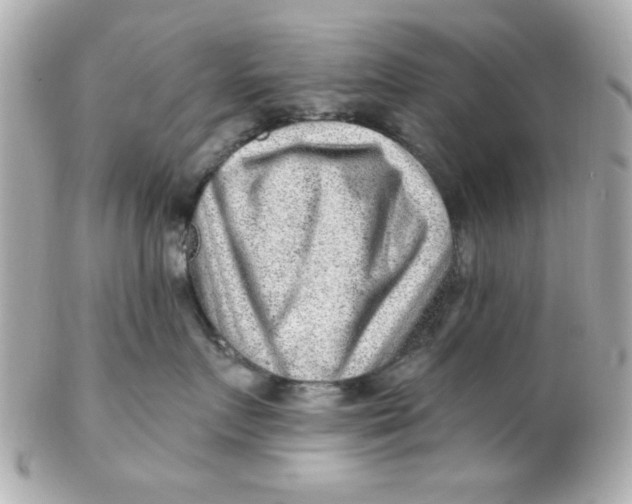 X0000102310719200808152041