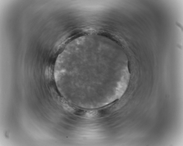 X0000102310720200808152041