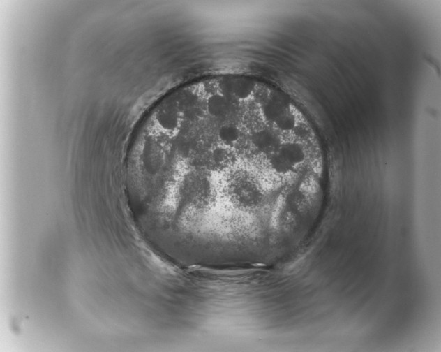 X0000102310721200808152040