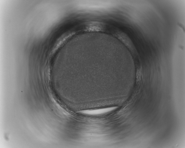 X0000102310722200808152040