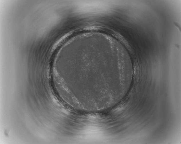 X0000102310724200808152040