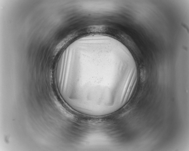 X0000102310725200808152040