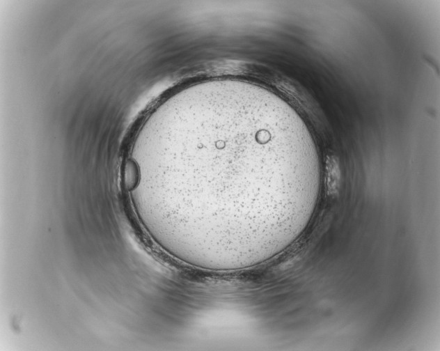 X0000102310726200808152040