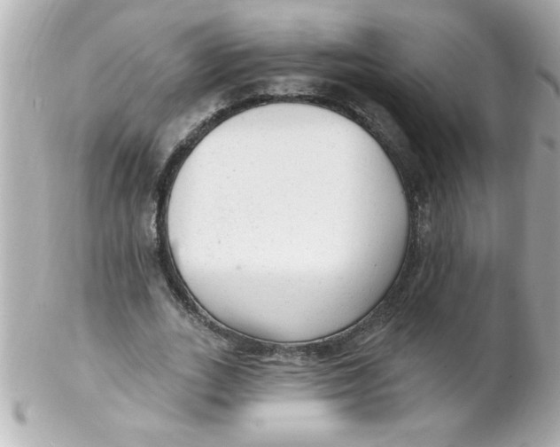 X0000102310727200808152040