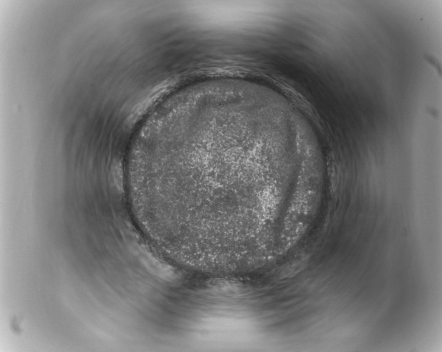 X0000102310729200808152040