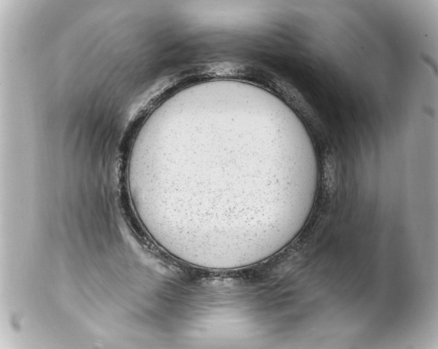 X0000102310730200808152040