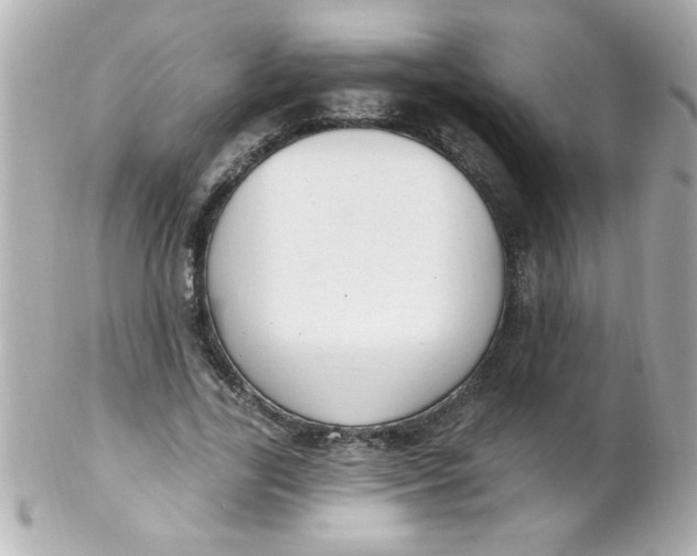 X0000102310731200808152040