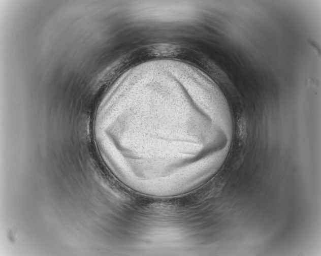 X0000102310733200808152040