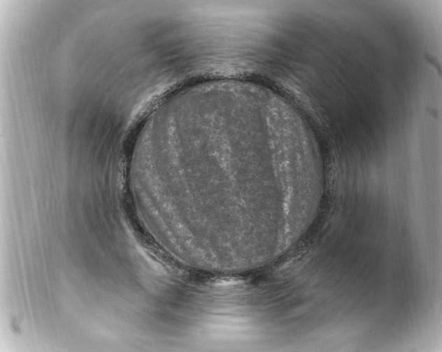 X0000102310736200808152041