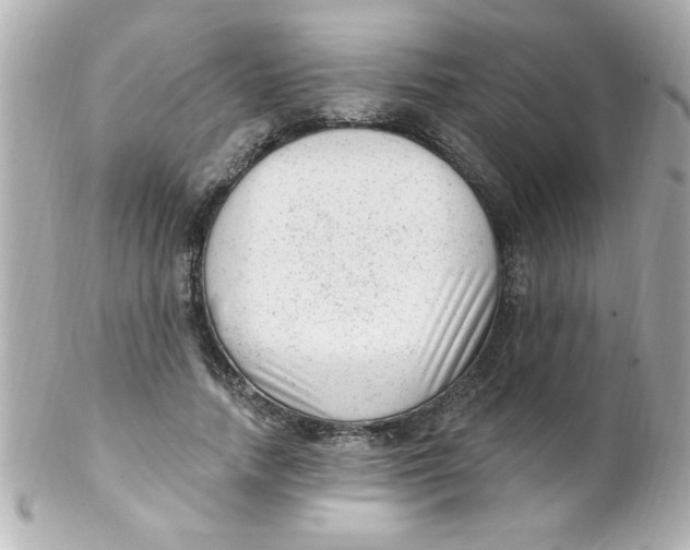 X0000102310738200808152041