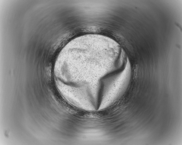 X0000102310739200808152041