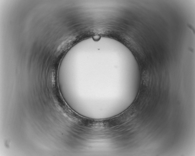 X0000102310740200808152041