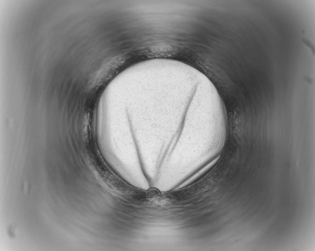 X0000102310742200808152041
