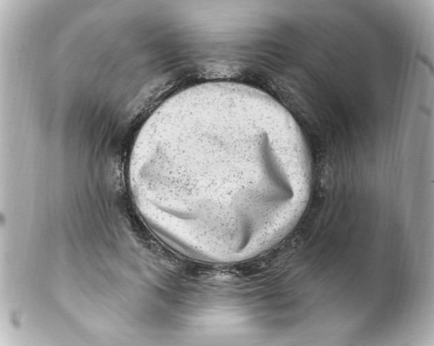 X0000102310743200808152041